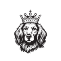 Tudor Energy LLC